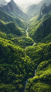 青山翠谷间的蜿蜒溪流