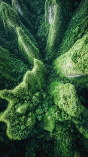 俯瞰翠绿繁茂的山林景观