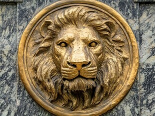 金色雄狮墙面雕塑