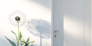 窗边蒲公英 光影与生机