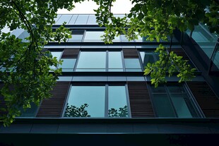 现代建筑与绿叶相映成趣