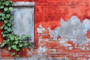 红砖墙边的绿意生机