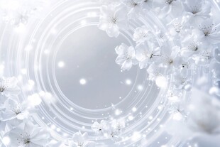 梦幻白花环绕的空灵背景