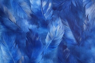 梦幻蓝色羽毛纹理背景图