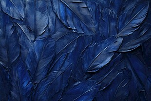 深蓝色羽毛纹理背景图
