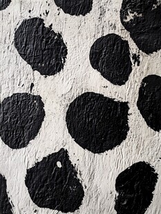 黑白斑点墙面纹理