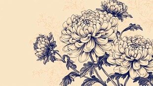 复古风手绘菊花花卉图案