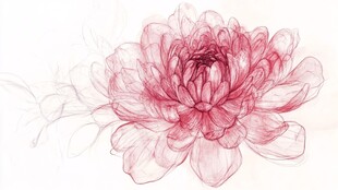 梦幻透明风手绘粉色花朵