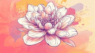 手绘粉色莲花水彩背景图