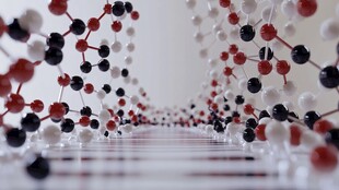 分子结构三维模型展示