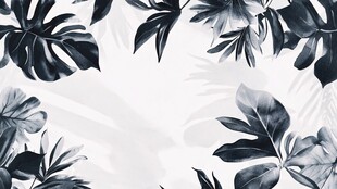 黑白热带植物边框图案