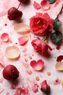 浪漫玫瑰花瓣洒落唯美画面