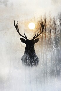 雾中鹿影与林间落日