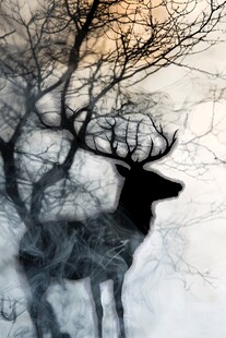 雾中鹿影与枯树的梦幻画面