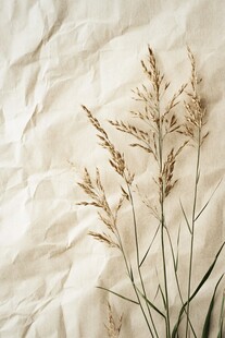 干枯草枝置于褶皱纸张上