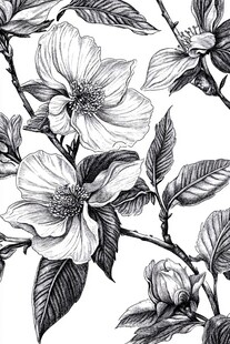 黑白花卉手绘图案设计