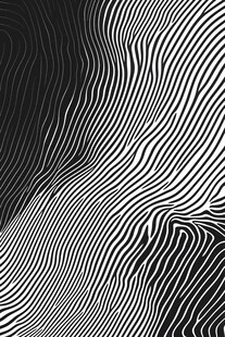 黑白条纹抽象动感图案