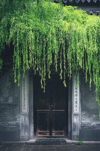 古门垂绿蔓 尽显中式雅韵