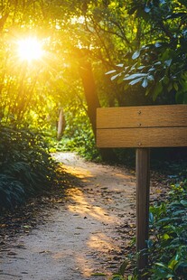 林间小道旁的阳光木质标牌