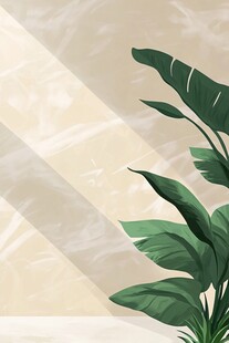 室内绿植与光影背景图