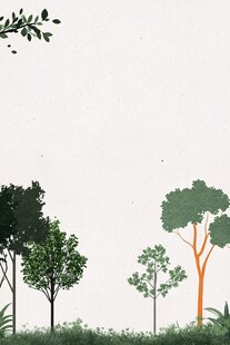 森林边缘的清新自然景象