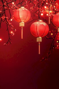 红灯笼映繁花喜庆氛围