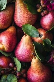 红彩梨子与绿叶果实之美