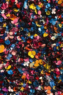 缤纷多彩的抽象花瓣图案