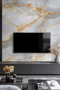 大理石电视背景墙家居一角