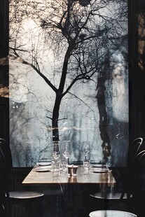 窗前静谧餐桌与光秃树木