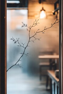 窗内枝影 静谧室内景致