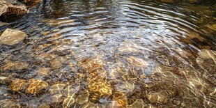 清澈溪底的斑斓石块