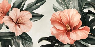 粉色扶桑花与绿叶插画