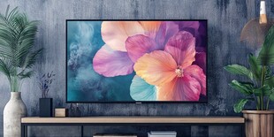 电视屏显绚丽花卉画面