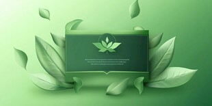 绿叶环绕的清新展示框