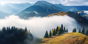 山间晨雾中的壮美山林景色