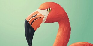 火烈鸟特写 清新色调画面