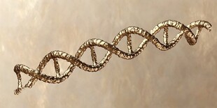 三维DNA双螺旋结构模型