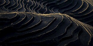 大地的曲线 梯田绝美景观