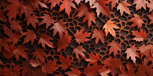 红枫叶背景纹理图案