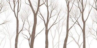 冬日枯树林背景图