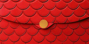 红色鱼鳞纹皮具细节特写