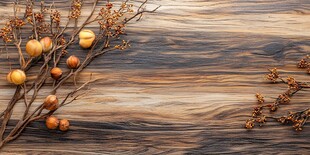 木质背景上的秋日果实枝条