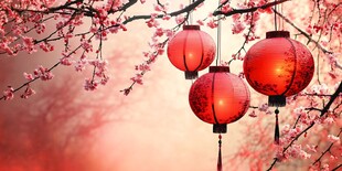 红灯笼映粉花枝