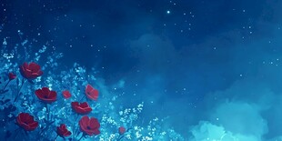 夜空中的浪漫红玫瑰