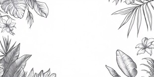 手绘植物边框装饰元素