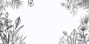 手绘植物边框装饰图案