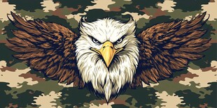 鹰击迷彩 霸气雄鹰展翅图