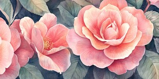 粉色娇艳山茶花花卉图景