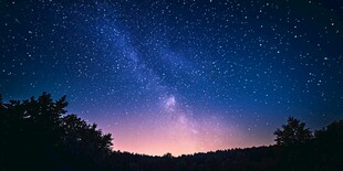 夜幕下的璀璨星空与树林